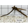 Spiderwood 591