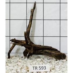 Spiderwood 593