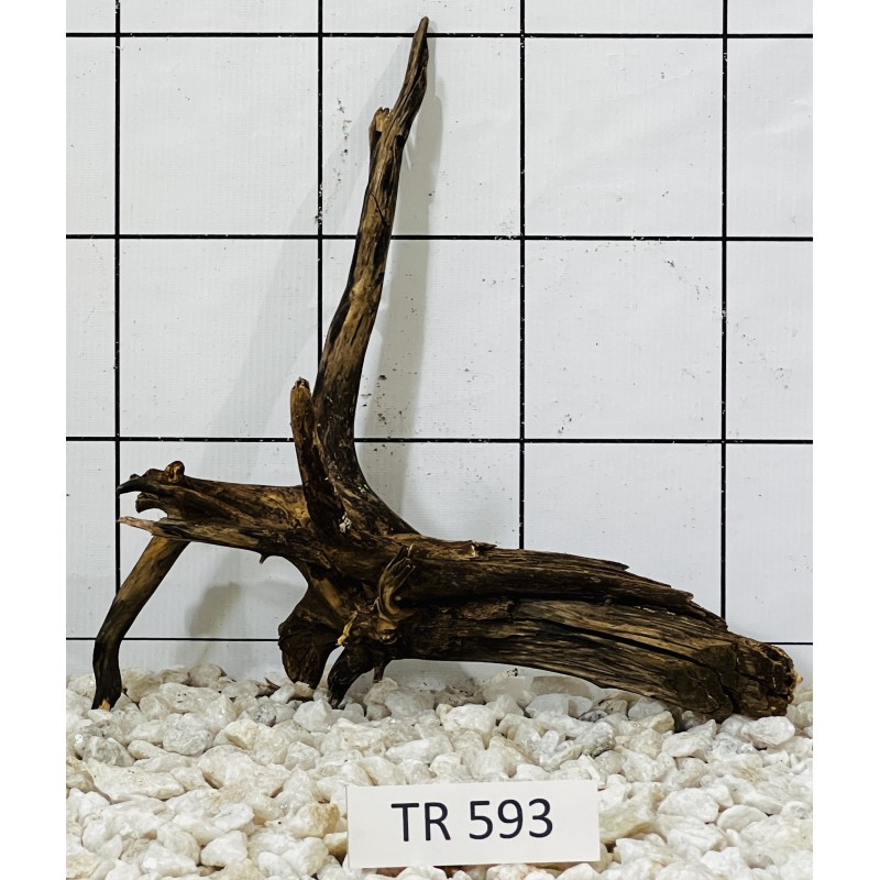 Spiderwood 593