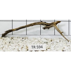 Spiderwood 594