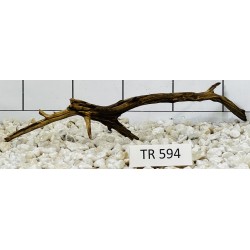 Spiderwood 594