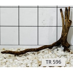 Spiderwood 596