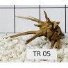 Spiderwood 05