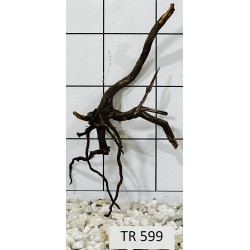 Spiderwood 599