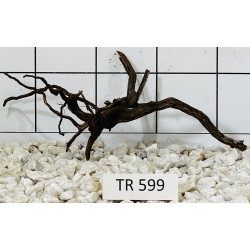 Spiderwood 599