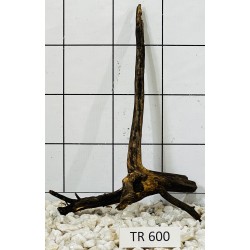Spiderwood 600