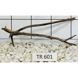 Spiderwood 601