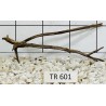 Spiderwood 601