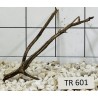 Spiderwood 601