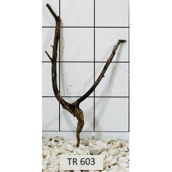 Spiderwood 603