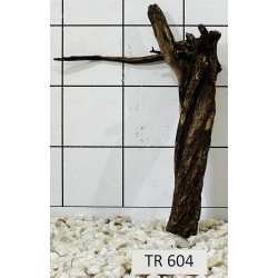 Spiderwood 604