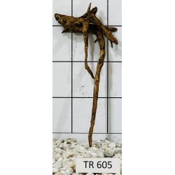 Spiderwood 605