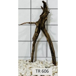 Spiderwood 606