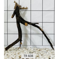 Spiderwood 608