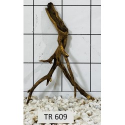 Spiderwood 609
