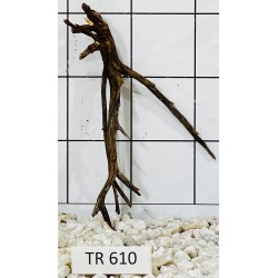 Spiderwood 610