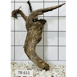 Spiderwood 611
