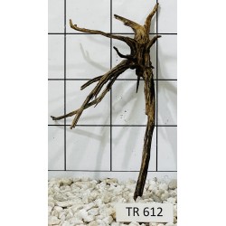 Spiderwood 612