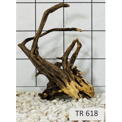 Spiderwood 618