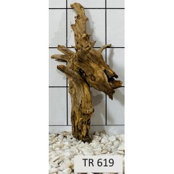 Spiderwood 619