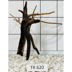 Spiderwood 620