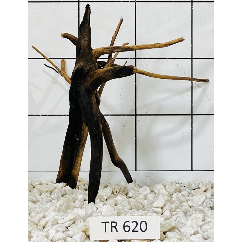Spiderwood 620
