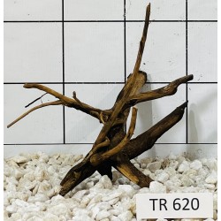 Spiderwood 620