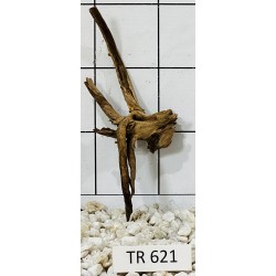 Spiderwood 621