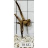 Spiderwood 621