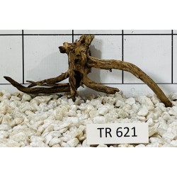 Spiderwood 621