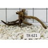 Spiderwood 621