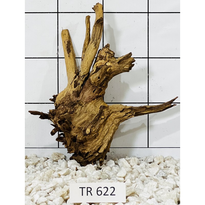 Spiderwood 622