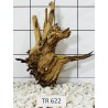 Spiderwood 622