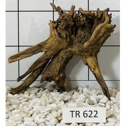 Spiderwood 622