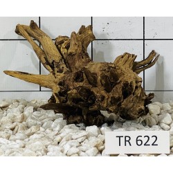 Spiderwood 622