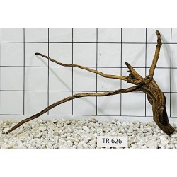Spiderwood 626
