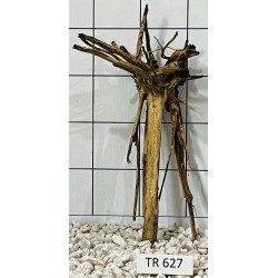 Spiderwood 627