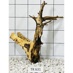 Spiderwood 631