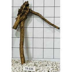 Spiderwood 636
