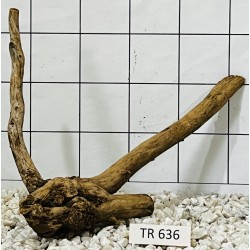 Spiderwood 636