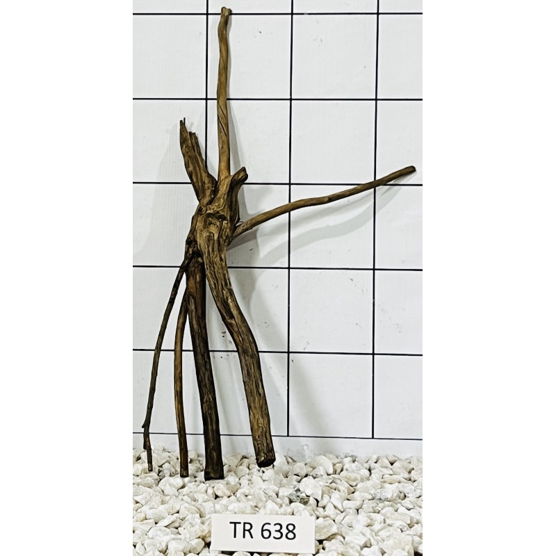 Spiderwood 638