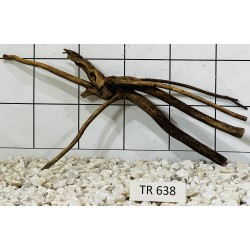 Spiderwood 638