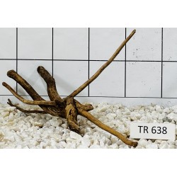 Spiderwood 638