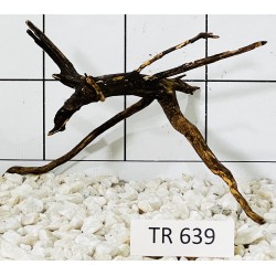 Spiderwood 639