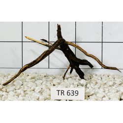 Spiderwood 639