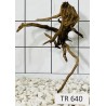 Spiderwood 640