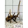 Spiderwood 640