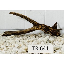 Spiderwood 641