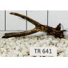Spiderwood 641