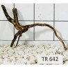 Spiderwood 642